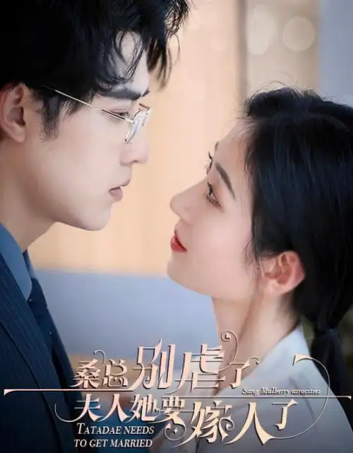 治愈日常短剧《少女与猫的七日》免费观看海报